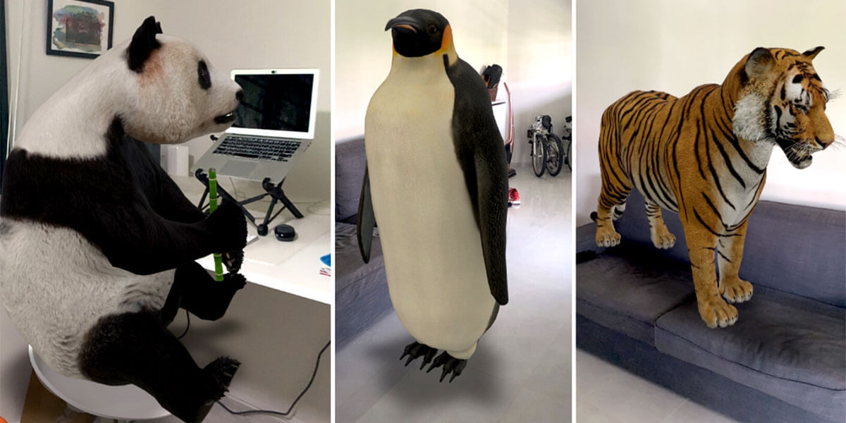 Zwierzęta Google 3D: jak działają i jakie zwierzęta można zobaczyć