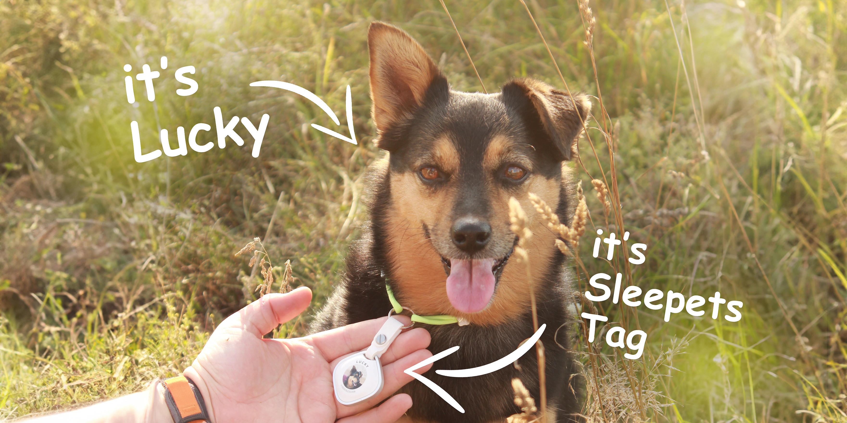 Recenzja urządzenia do śledzenia psów Sleepets Tag — asystent wyszukiwania zwierząt z pomocą techniczną FindMy