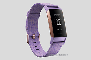 Duża część nowych szczegółów o Fitbit Charge 3