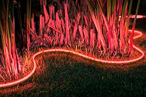 Taśma LED Hue LightStrip z Philips będzie kompatybilna z Apple Homekit