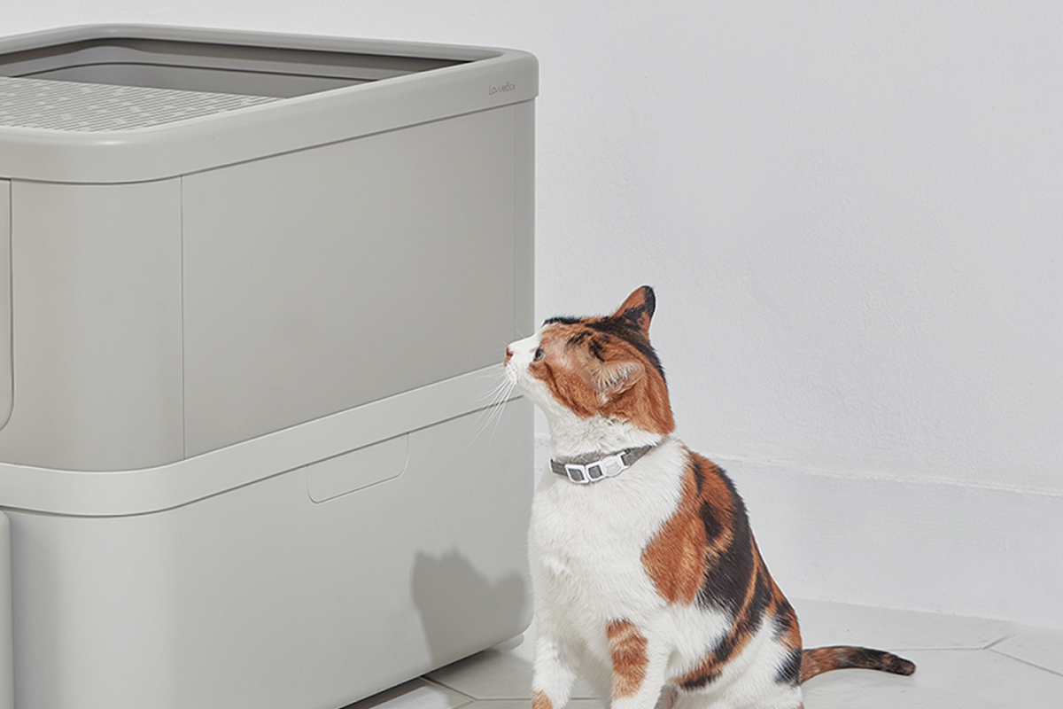 Purrsong wprowadzono inteligentne gadżety dla kotów na Ces 2022
